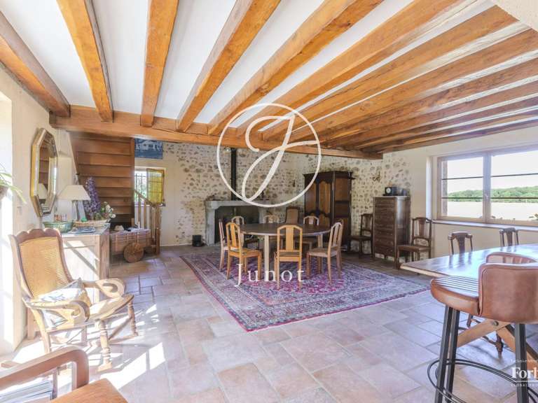 Maison Vendôme - 5 chambres - 313m²