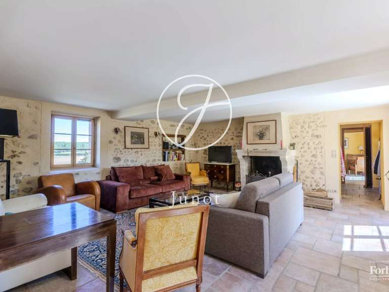 Maison Vendôme - 5 chambres - 313m²