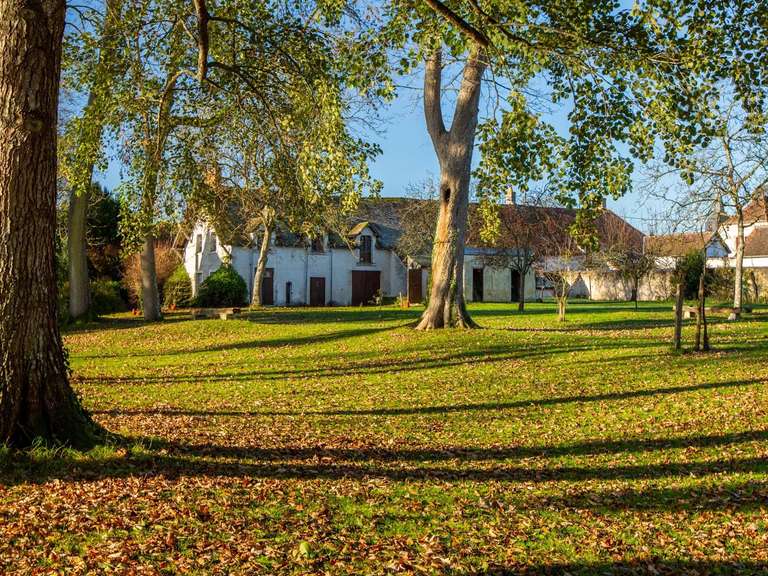 Manoir Vendôme - 10 chambres - 600m²