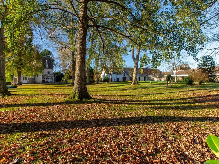 Manoir Vendôme - 10 chambres - 600m²