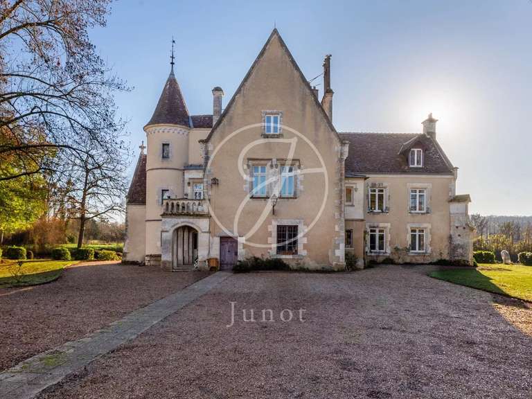 Manoir Vendôme - 10 chambres - 600m²