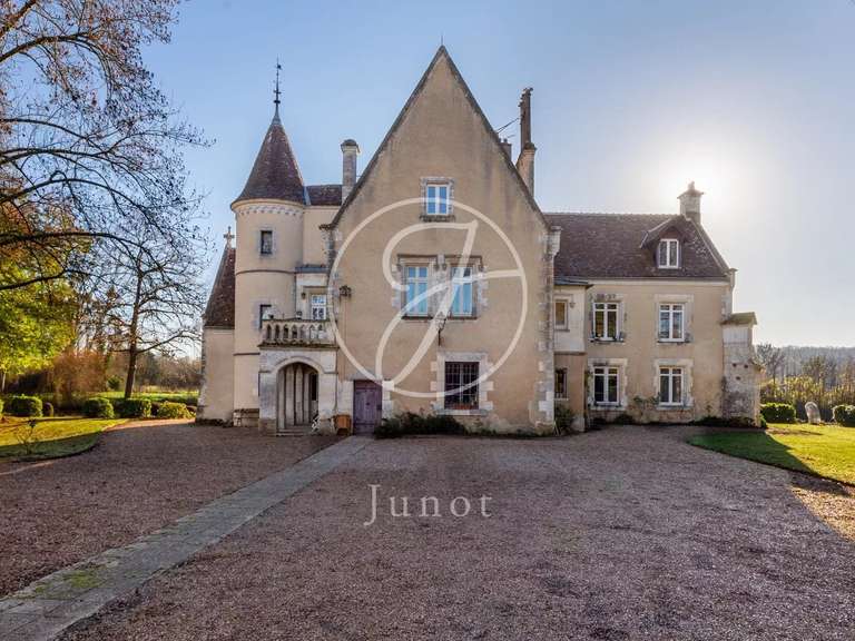 Manoir Vendôme - 10 chambres - 600m²