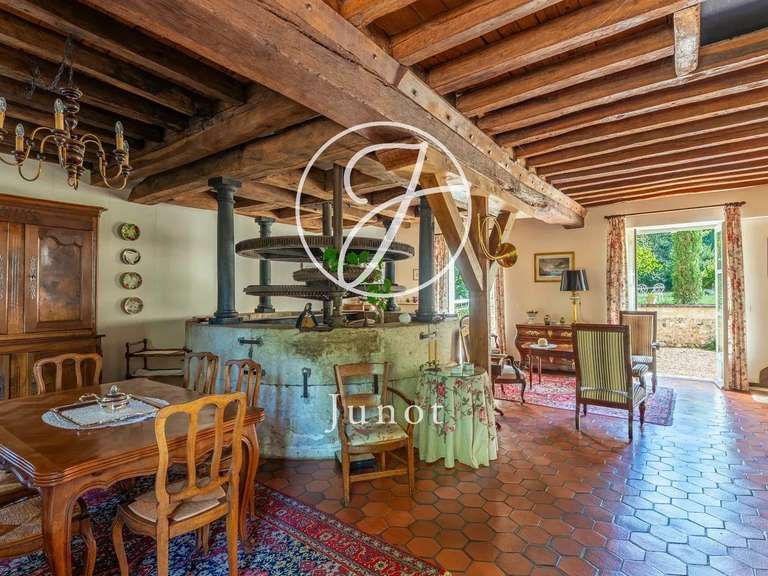 Moulin Vendôme - 8 chambres - 700m²