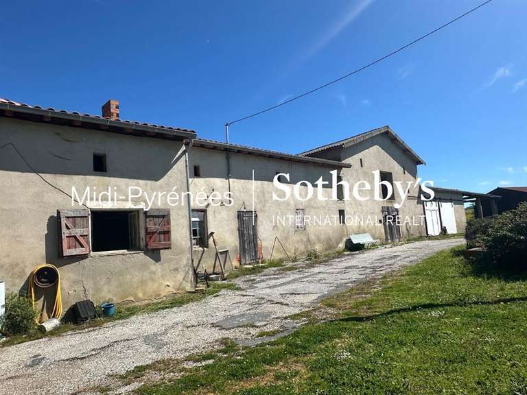 House Verfeil - 7 bedrooms - 350m²