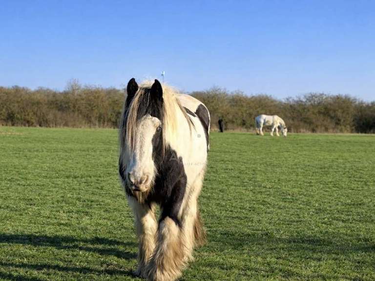 Maison Verneuil d'Avre et d'Iton - 5 chambres