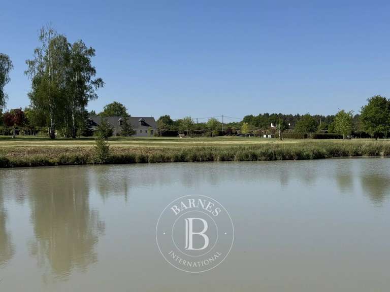 Maison Vernou-en-Sologne - 5 chambres - 372m²