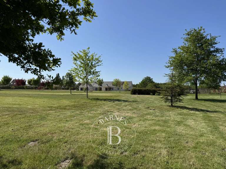 Maison Vernou-en-Sologne - 5 chambres - 372m²