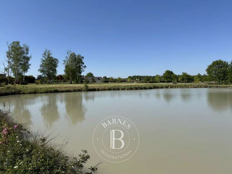 Maison Vernou-en-Sologne - 5 chambres - 372m²