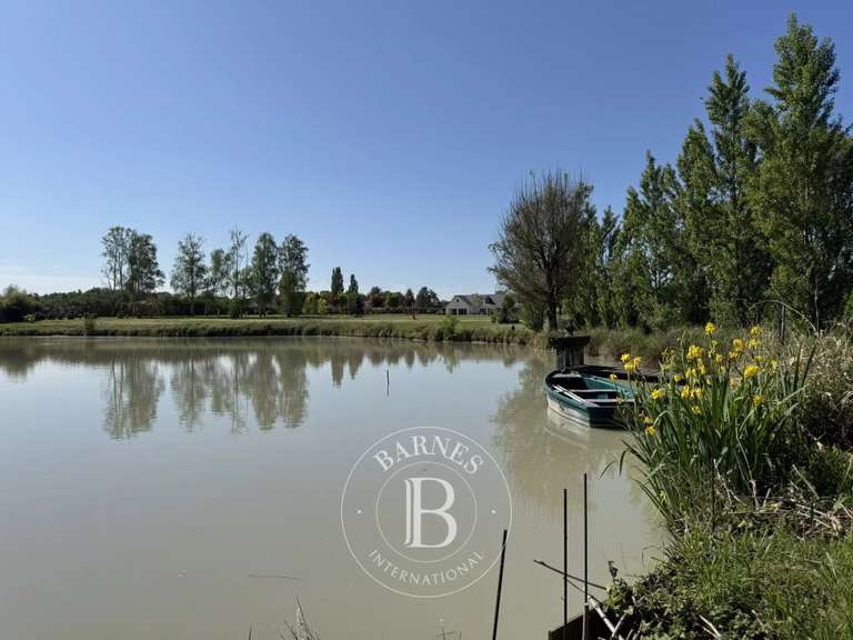 Maison Vernou-en-Sologne - 5 chambres - 372m²