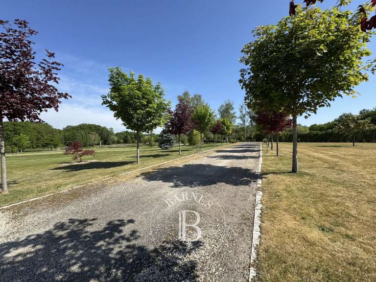 Maison Vernou-en-Sologne - 5 chambres - 372m²