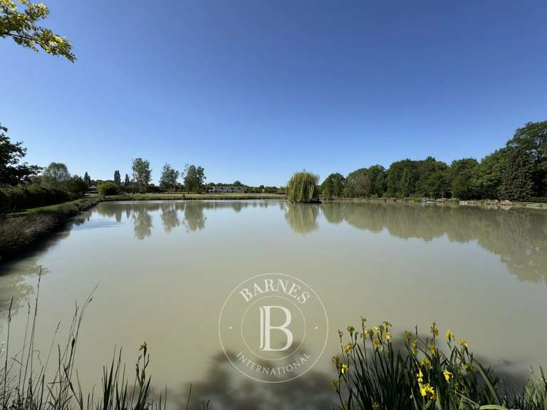 Maison Vernou-en-Sologne - 5 chambres - 372m²