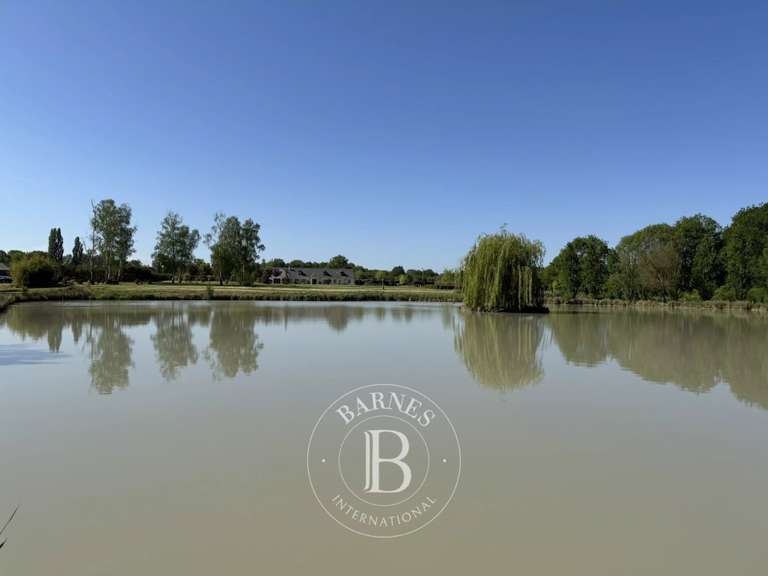 Maison Vernou-en-Sologne - 5 chambres - 372m²