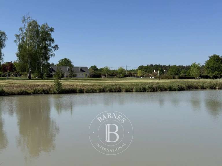 Maison Vernou-en-Sologne - 5 chambres - 372m²