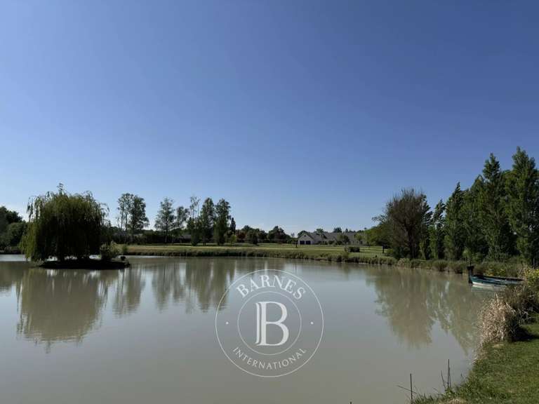 Maison Vernou-en-Sologne - 5 chambres - 372m²