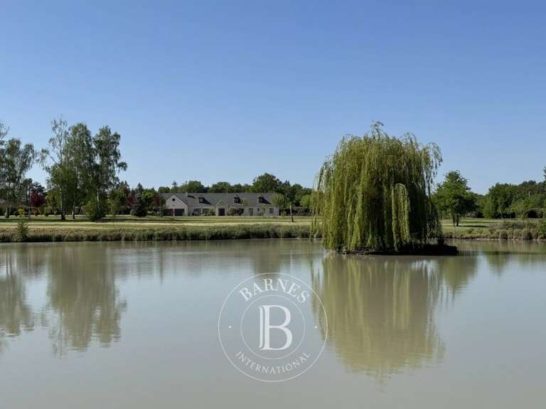 Maison Vernou-en-Sologne - 5 chambres - 372m²