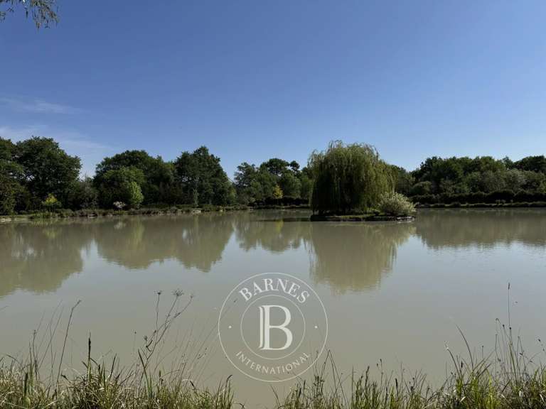 Maison Vernou-en-Sologne - 5 chambres - 372m²