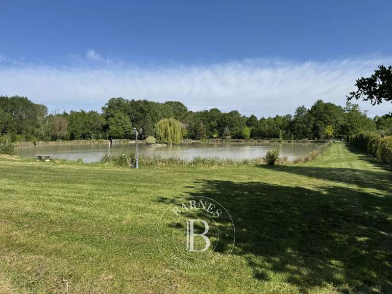 Maison Vernou-en-Sologne - 5 chambres - 372m²