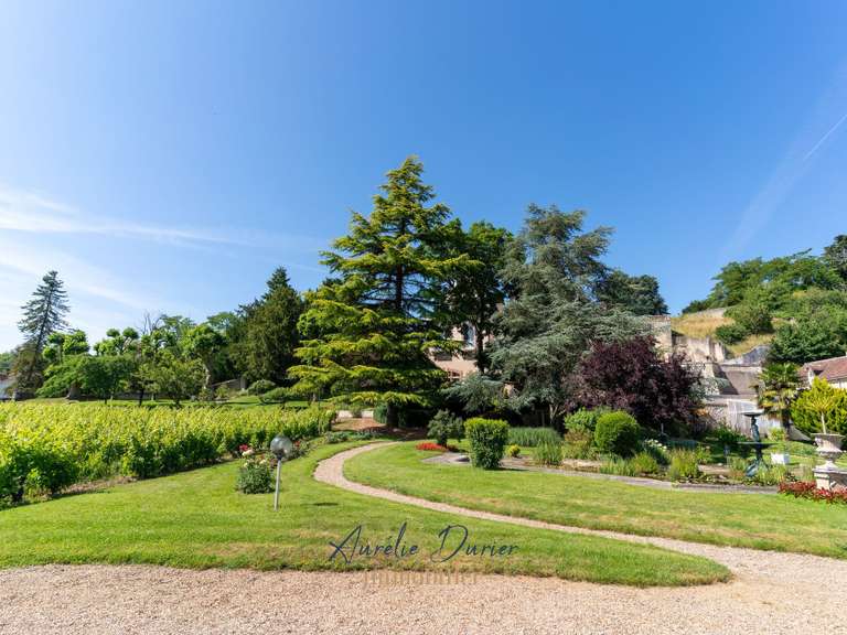 Maison Vernou-sur-Brenne - 8 chambres - 500m²