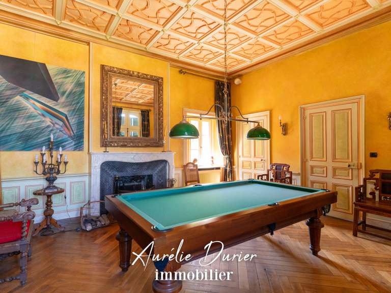 Maison Vernou-sur-Brenne - 8 chambres - 500m²