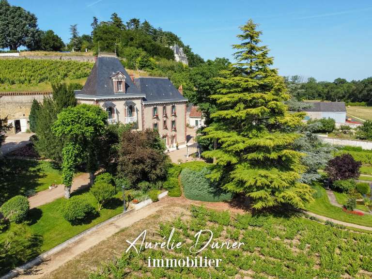 Maison Vernou-sur-Brenne - 8 chambres - 500m²