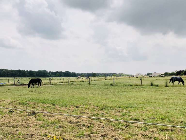 Maison Verrie - 320m²