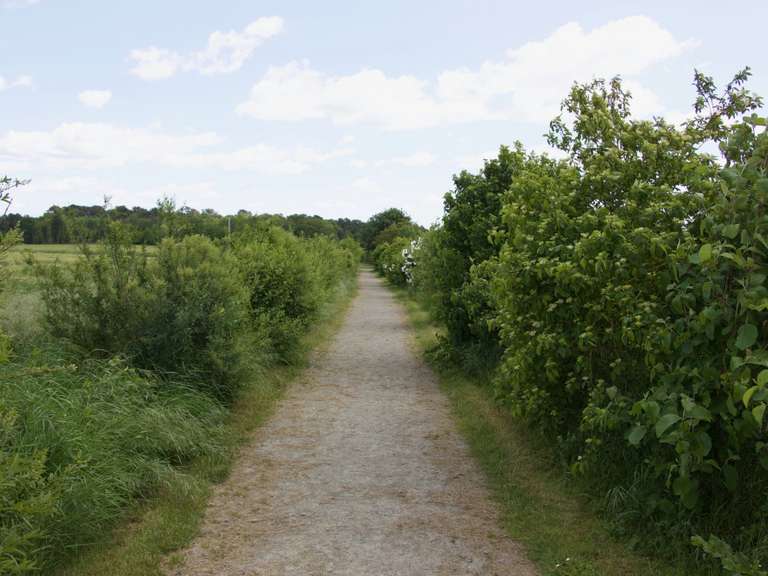 Maison Verrie - 320m²