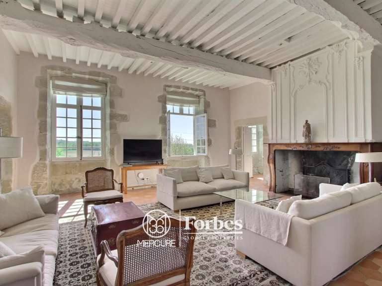 Château Verteuil-d'Agenais - 10 chambres - 1875m²