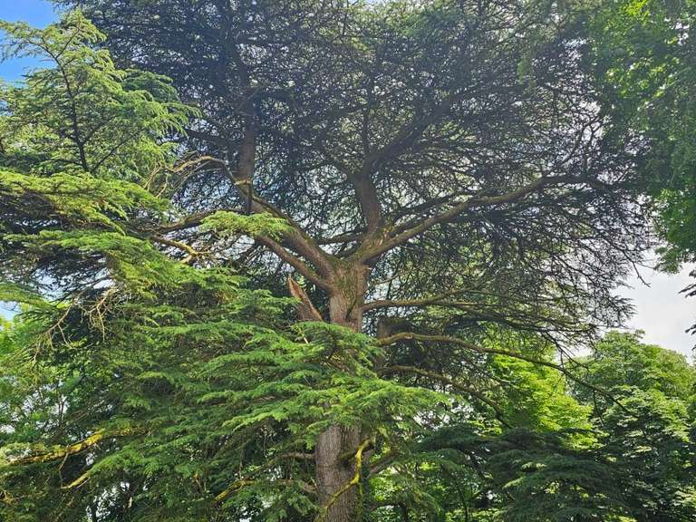 Maison Vertou - 13 chambres