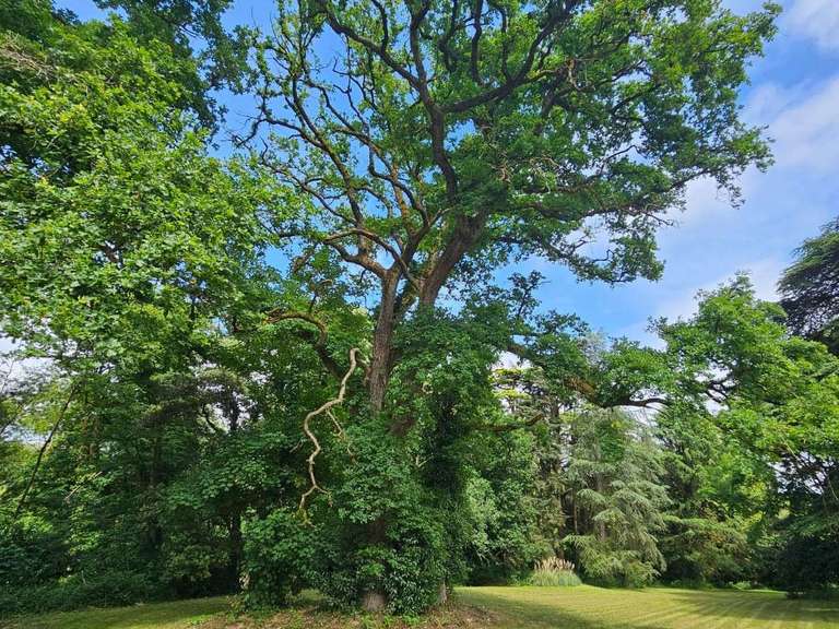 Maison Vertou - 13 chambres