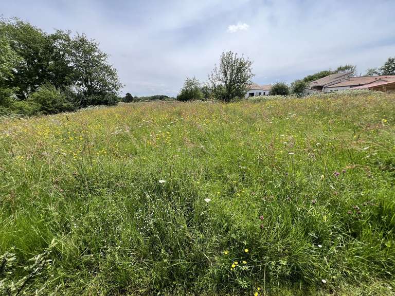 Terrain Vertou - 4000m²