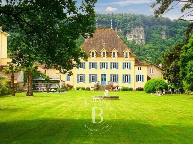 Sale Castle Vertrieu - 14 bedrooms