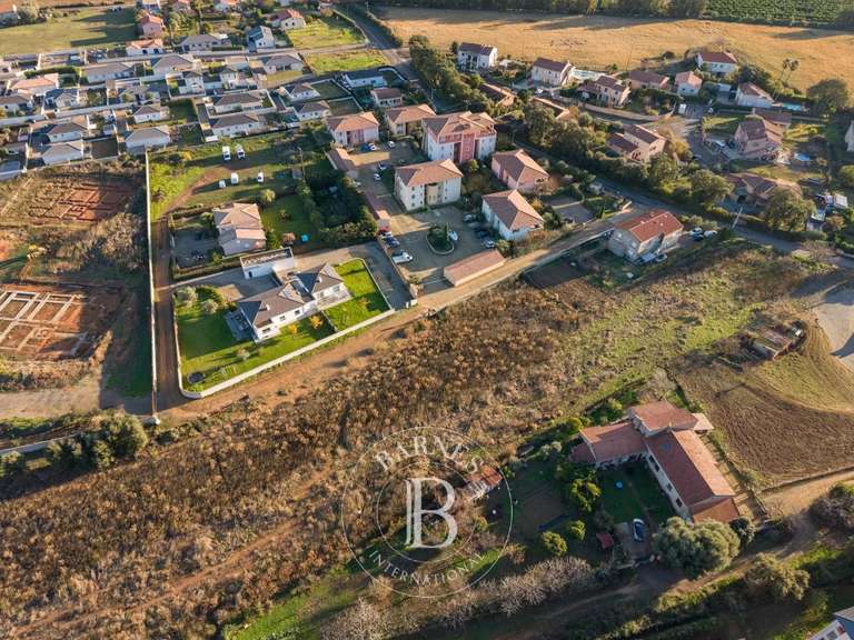 Terrain Vescovato - 6000m²