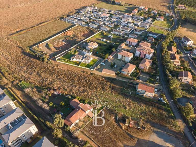 Terrain Vescovato - 6000m²