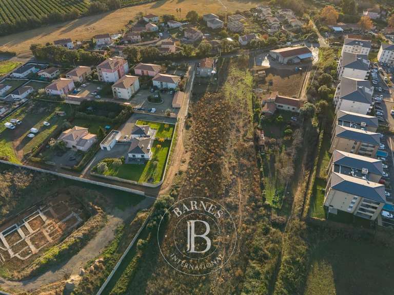 Terrain Vescovato - 6000m²