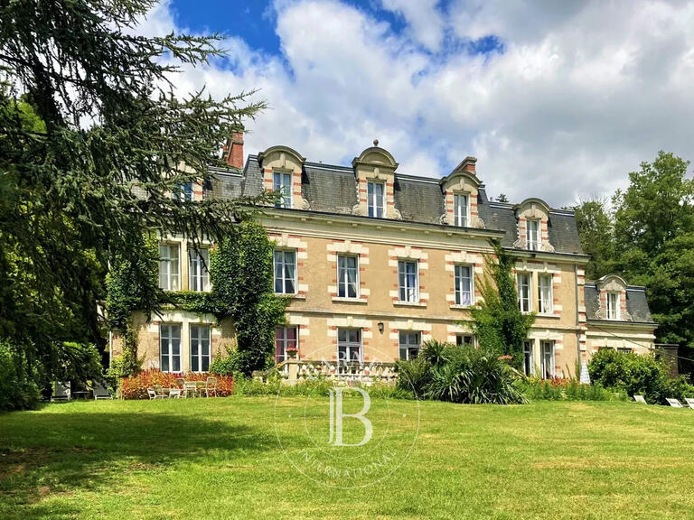 Vente Château Veuves - 16 chambres