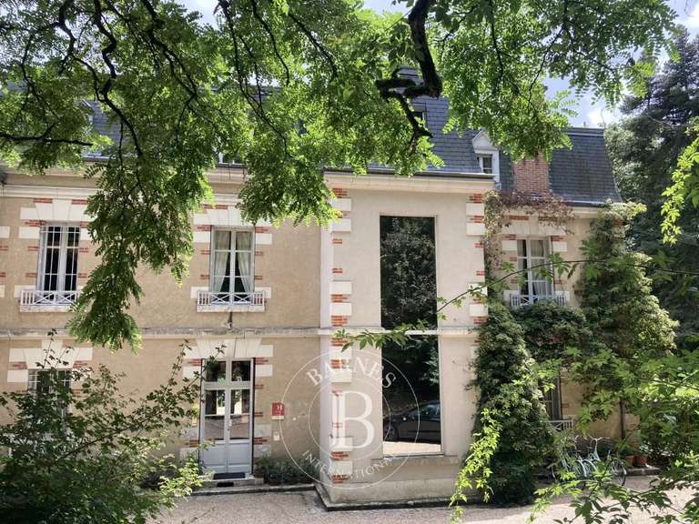 Château Veuves - 16 chambres - 558m²