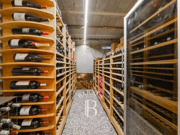 House Veyrier-du-Lac - 4 bedrooms - 300m²