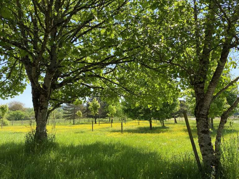 Château Vézelay - 10 chambres - 609m²