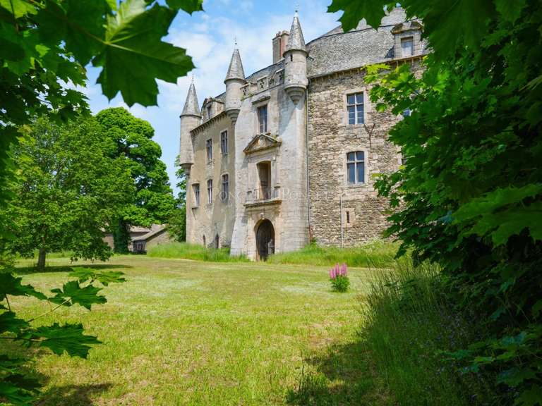 Château Vézins-de-Lévézou - 24 chambres - 1911m²
