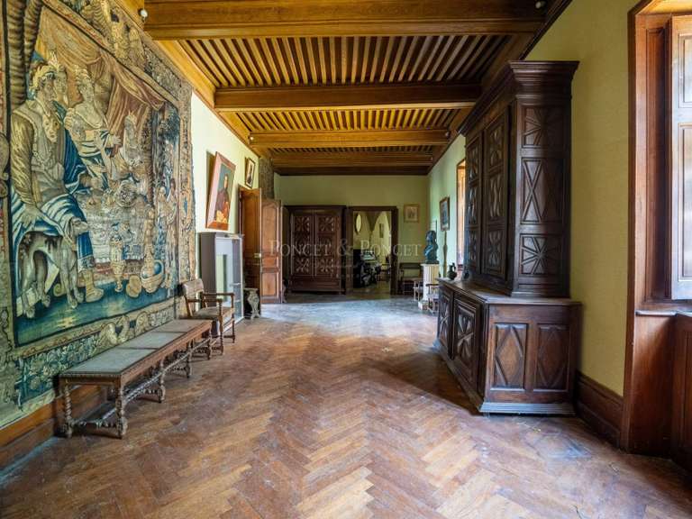 Château Vézins-de-Lévézou - 24 chambres - 1911m²