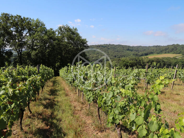 Sale Vineyard Vic-en-Bigorre