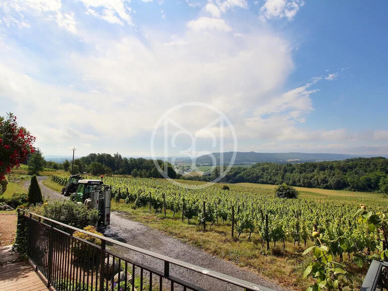 Vente Domaine viticole Vic-en-Bigorre