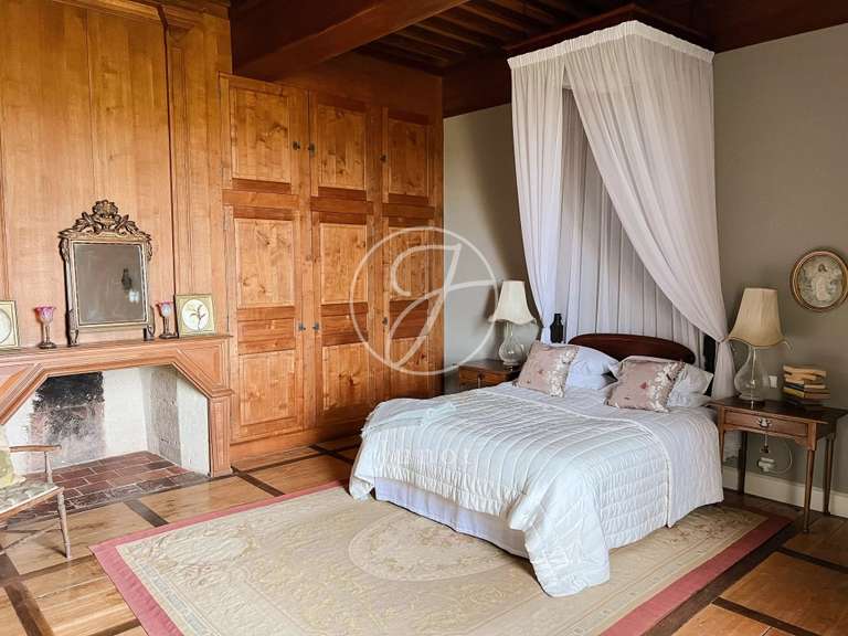 Château Vic-Fezensac - 503m²