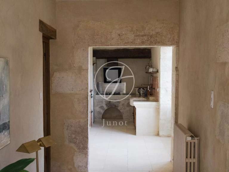 Castle Vic-Fezensac - 503m²