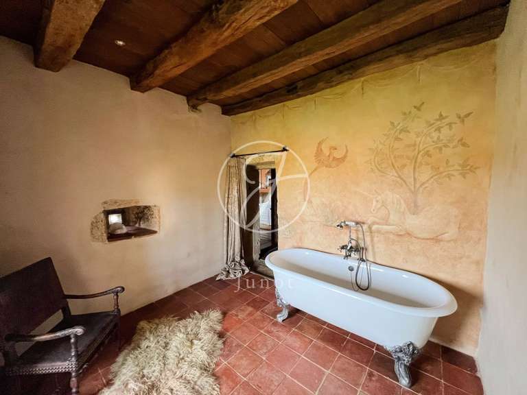 Castle Vic-Fezensac - 503m²