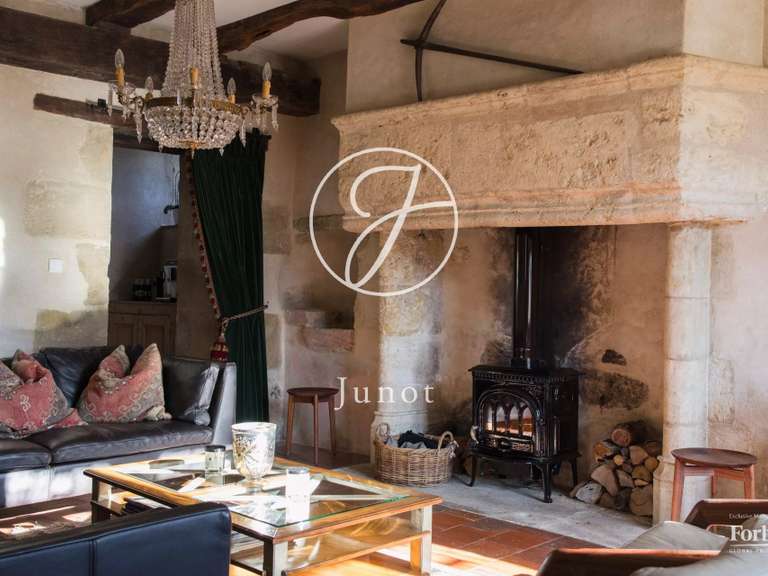 Château Vic-Fezensac - 503m²