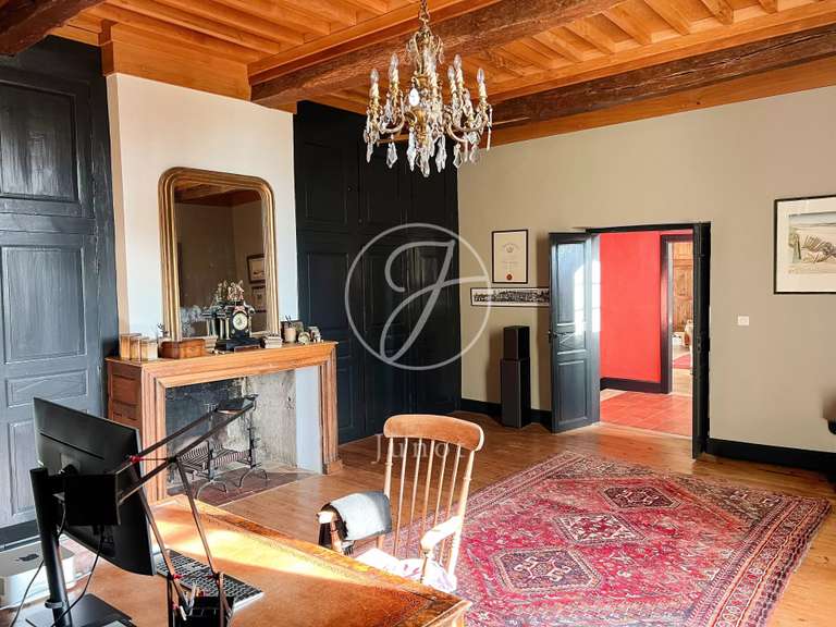 Castle Vic-Fezensac - 503m²