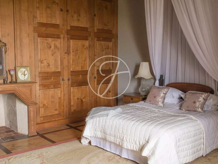 Castle Vic-Fezensac - 503m²