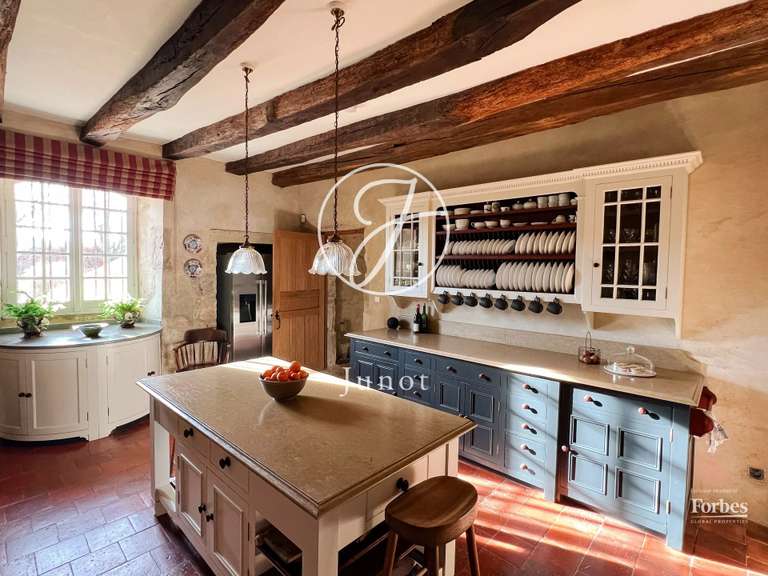 Château Vic-Fezensac - 503m²