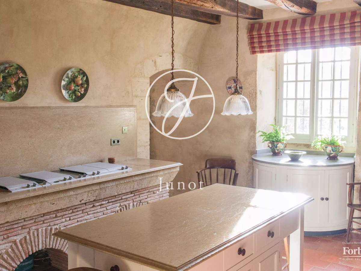 Château Vic-Fezensac